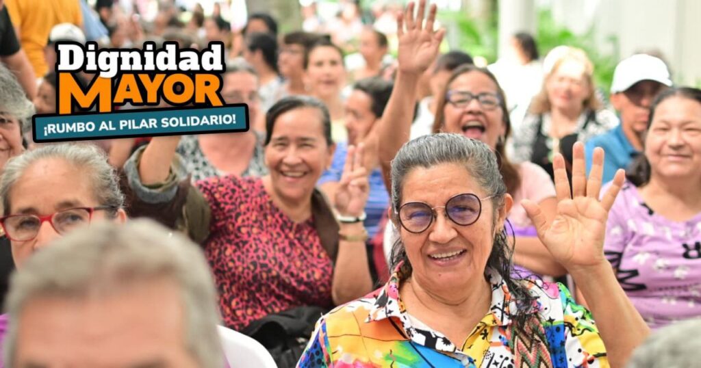 Más de 920.000 adultos mayores se inscribieron para acceder al Pilar Solidario.