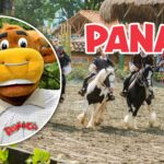 PANACA en crisis: Trabajadores denuncian impagos de salarios y primas.